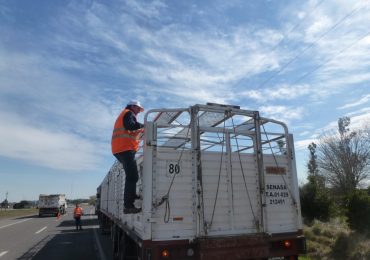 RENSPA ya se puede tramitar en tupungato