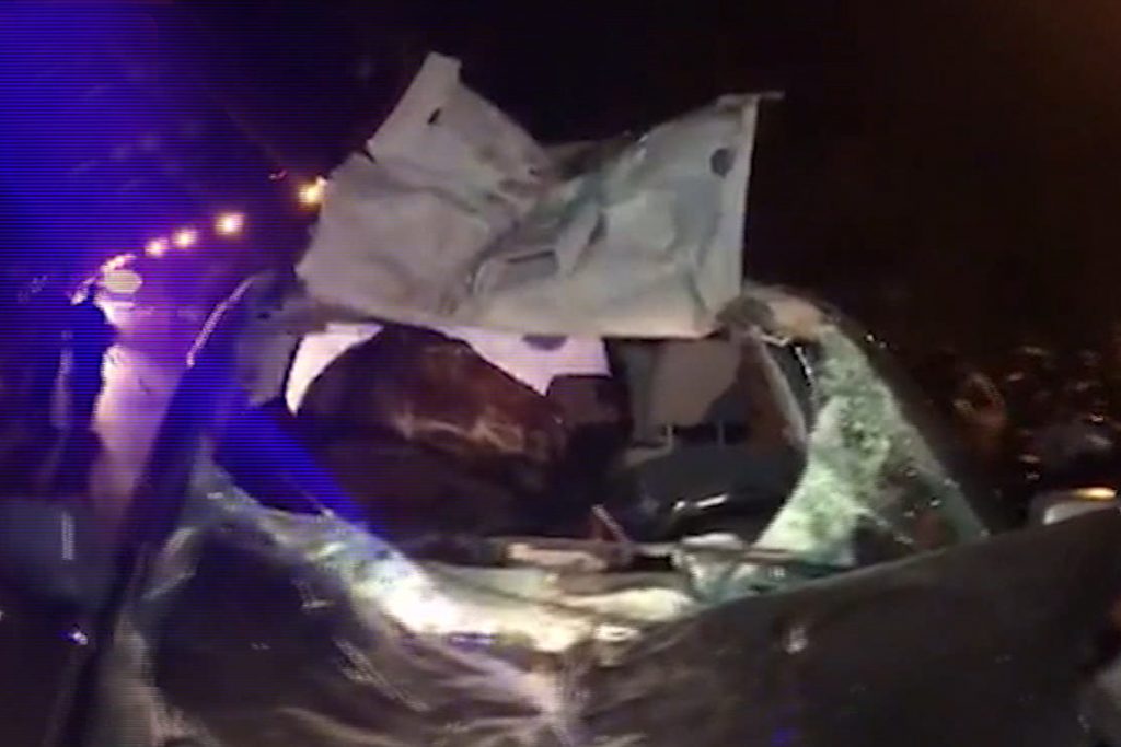 Un terrible accidente sucedió esta noche de jueves en la Ruta 40 en el Valle de Uco cuando un auto embistió a un caballo.