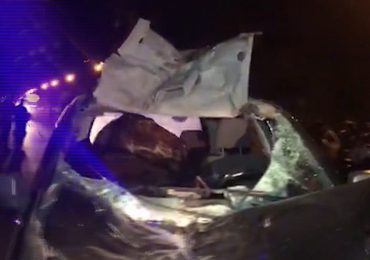 Un terrible accidente sucedió esta noche de jueves en la Ruta 40 en el Valle de Uco cuando un auto embistió a un caballo.