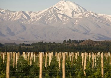 Enoturismo Tupungato