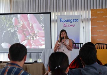 Nuevos servicios turísticos en Tgto