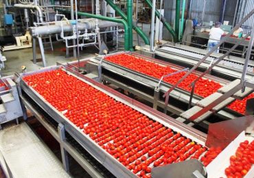 Buscan que Alco Canale pueda trabajar la temporada y luego venderla