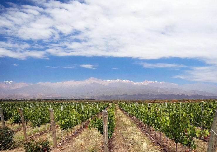 VALLE DE UCO