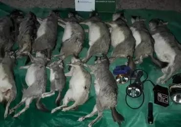 Viajaban con trece animales muertos y fueron detenidos en San Carlos
