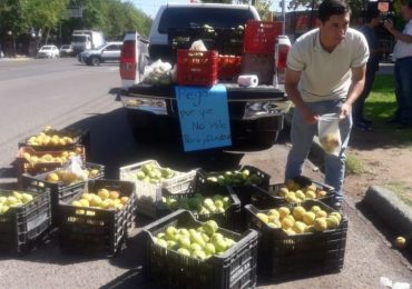 Regala fruta en Tunuyán