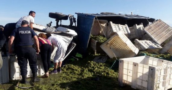 Acidente camion tupungato