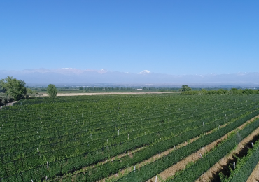 Capacitación en Enoturismo en Tgto