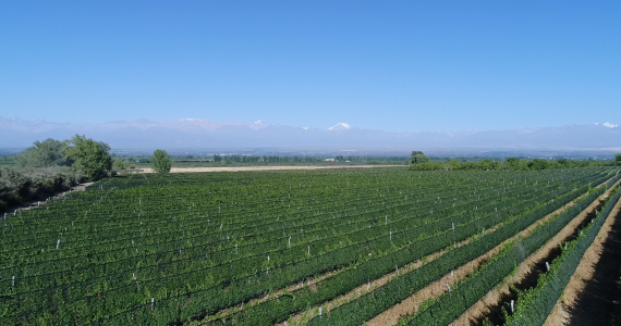 Capacitación en Enoturismo en Tgto