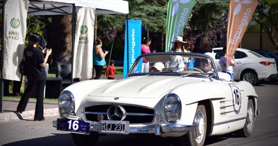 Rally de las Bodegas en Tgto