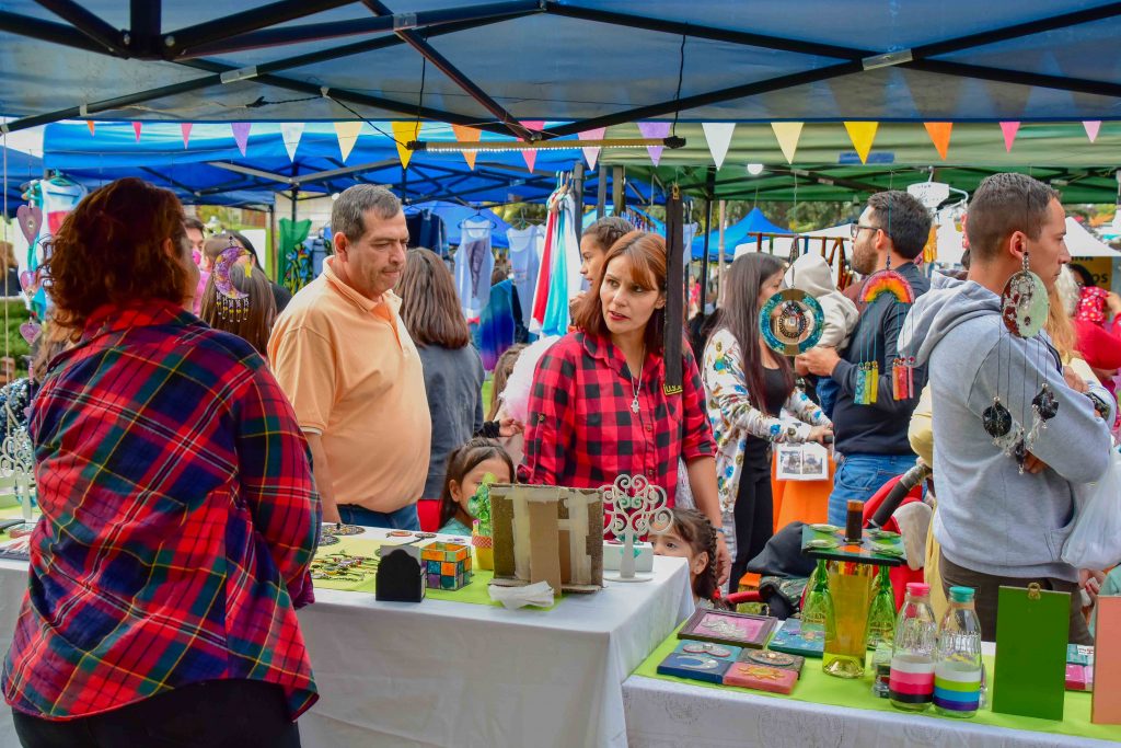 Feria Artesanal y Dia del Animal 2019 Tgto8