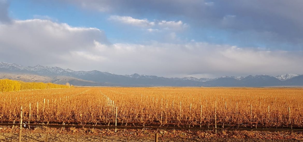 Pronóstico Valle De Uco