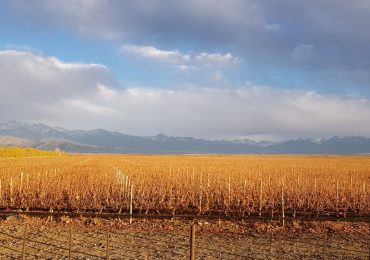 Pronóstico Valle De Uco