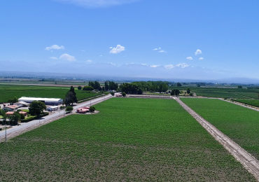 Plan Ordenamiento Territorial Tgto.