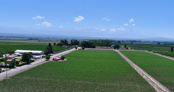 Plan Ordenamiento Territorial Tgto.