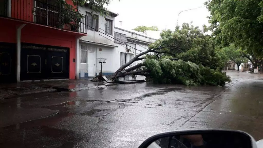 Tromenta Mendoza