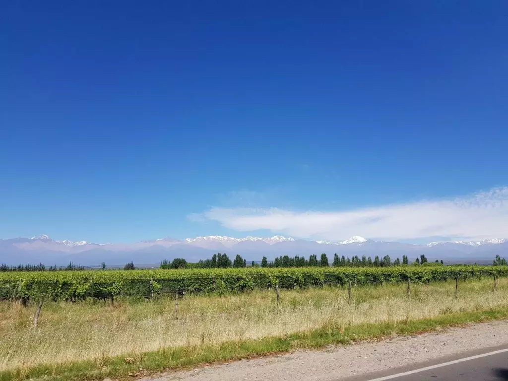 Pronóstico Valle de Uco