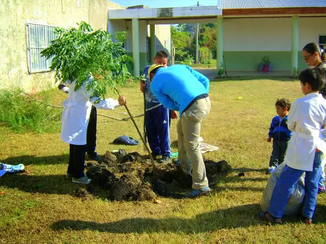 Será en Tupungato, el Municipio donará árboles a todas aquellas Instituciones Educativas del Departamento, que así lo requieran.