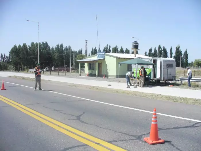 Polilla de la vid: habilitan puesto de control transitorio en Pareditas