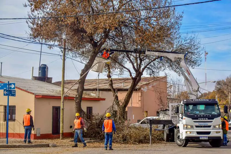 Dio inicio el operativo poda de arbolado público en Tupungato